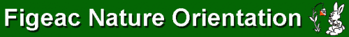 Logo FINO.gif
